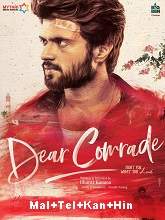 Dear Comrade